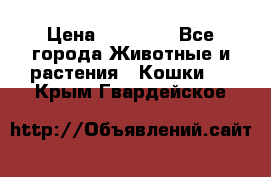 Zolton › Цена ­ 30 000 - Все города Животные и растения » Кошки   . Крым,Гвардейское